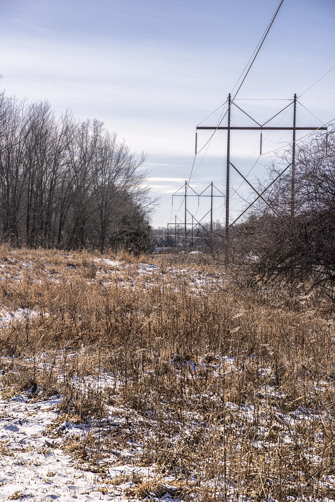 Nikon D810 sample photo. Power lines through the photography