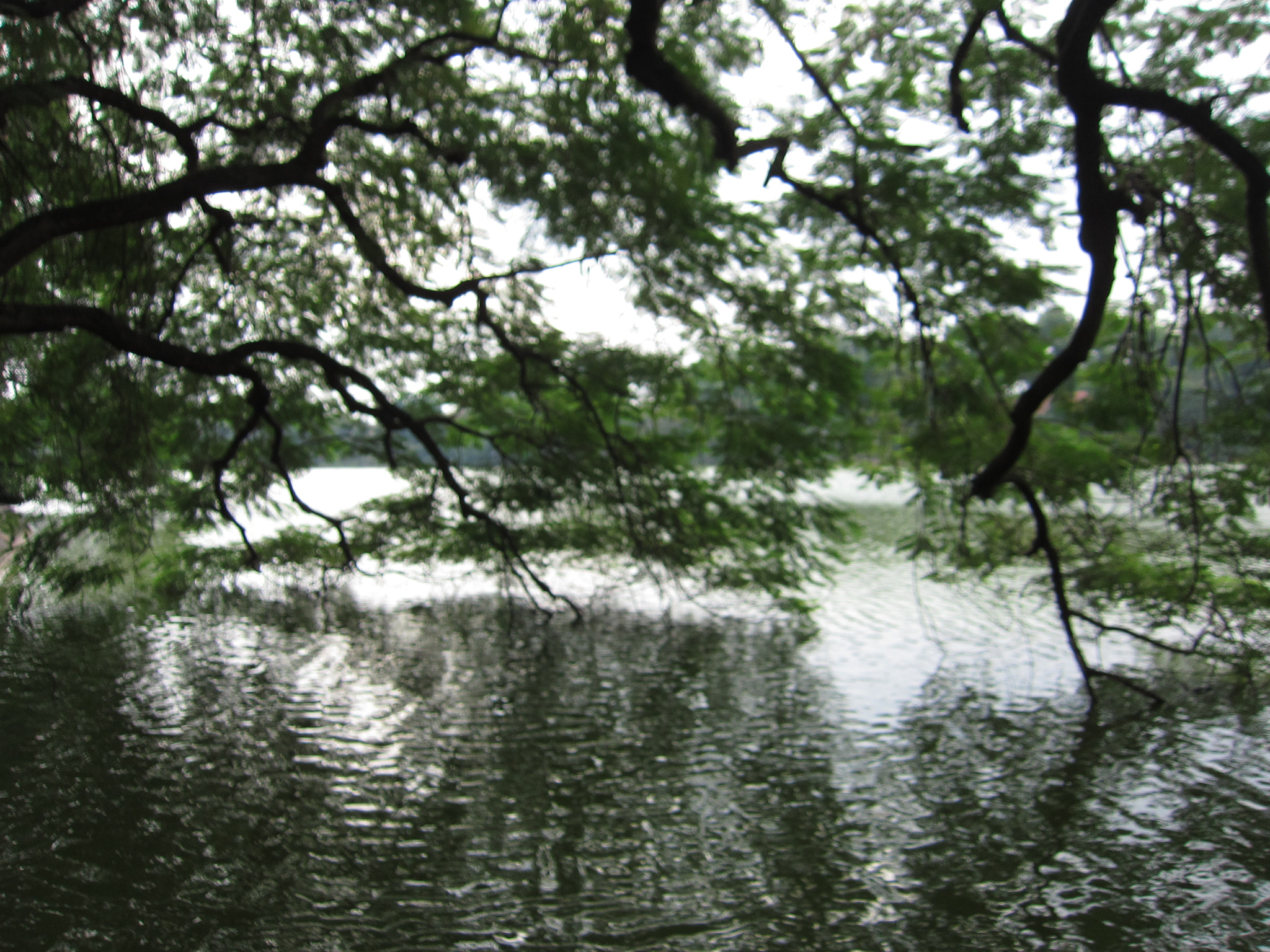 Canon PowerShot SD4000 IS (IXUS 300 HS / IXY 30S) sample photo. Lake, trees, reflection photography