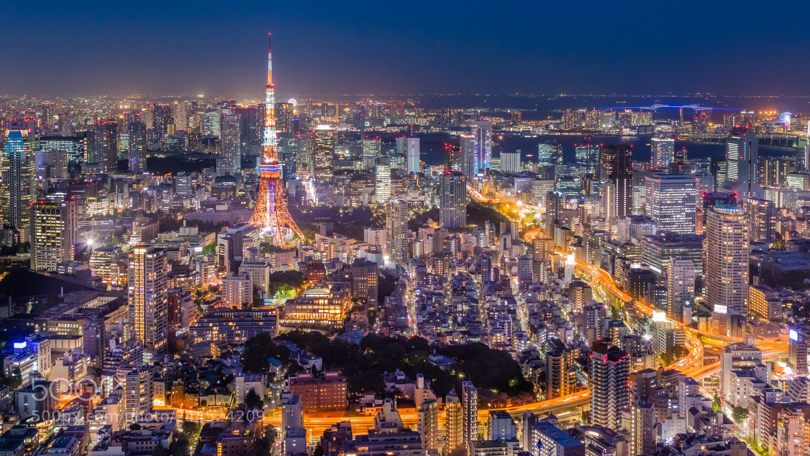 Canon EOS 5DS R sample photo. Tokyo at night photography