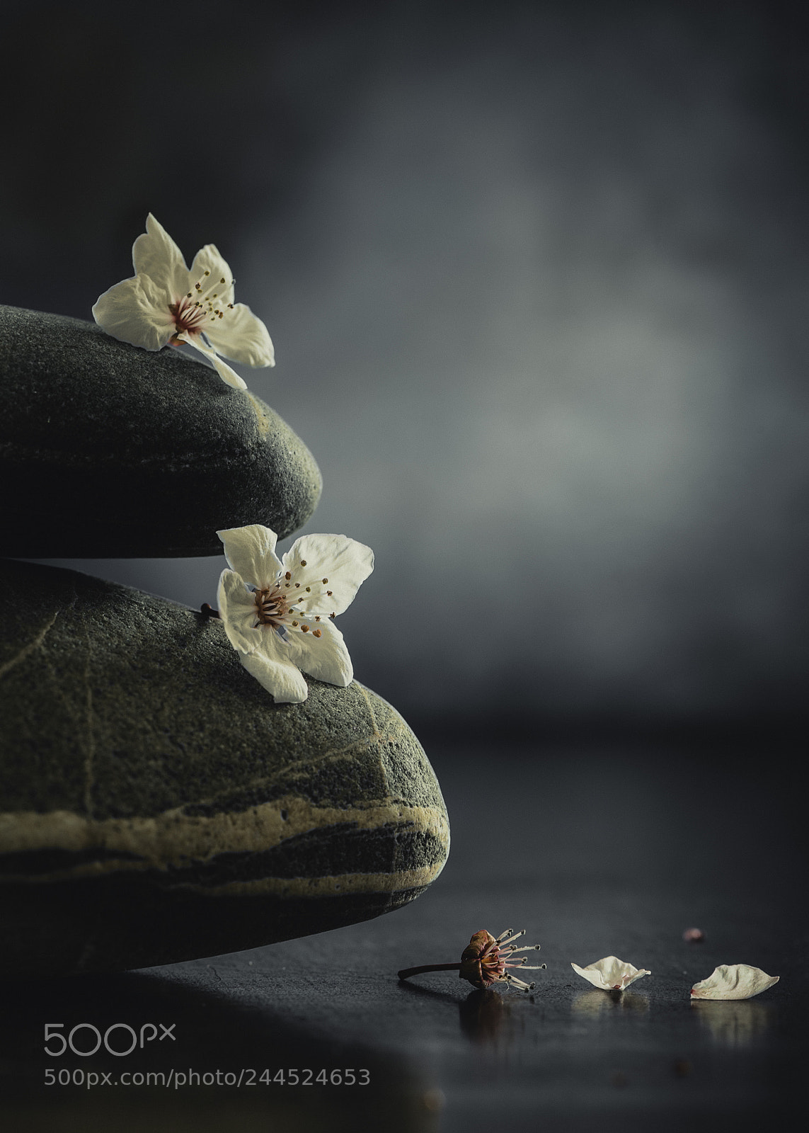 Nikon D600 sample photo. Equilibrium photography