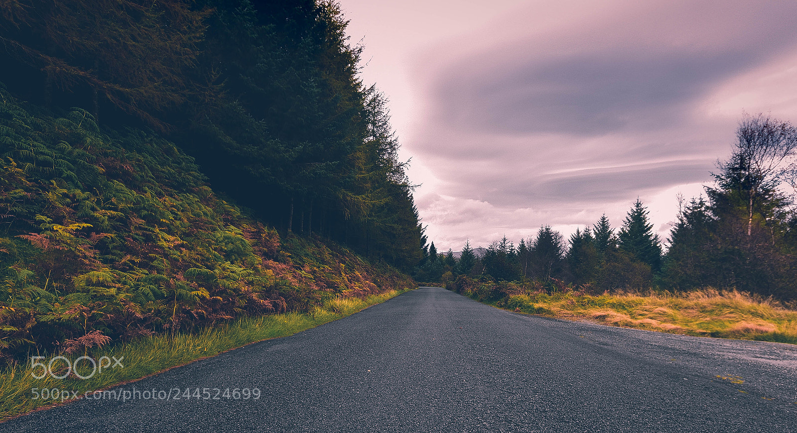 Nikon D7200 sample photo. Country road photography