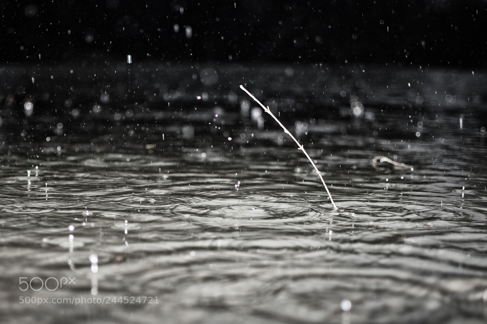 Nikon D5500 sample photo. Lake rain photography
