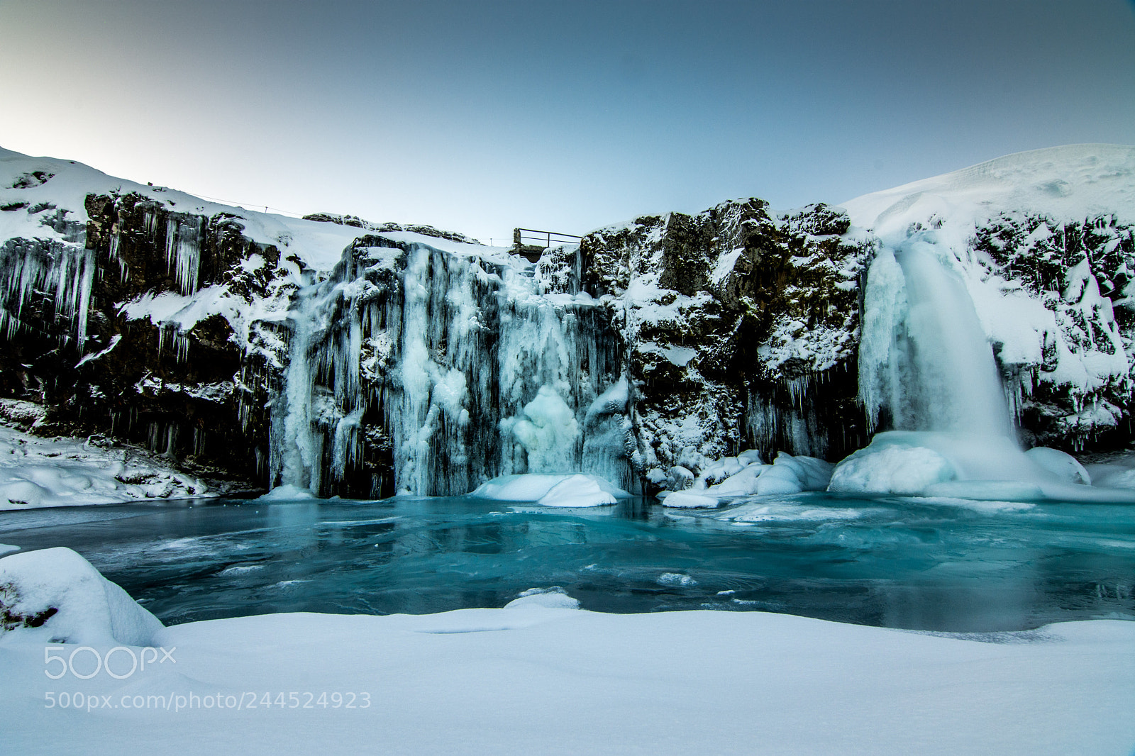 Nikon D7200 sample photo. Frozen photography