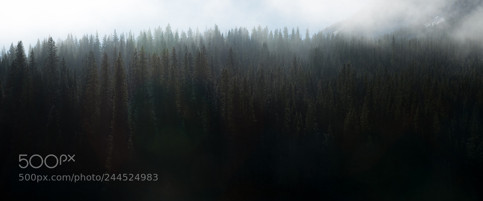Nikon D800 sample photo. High atop the mountains photography