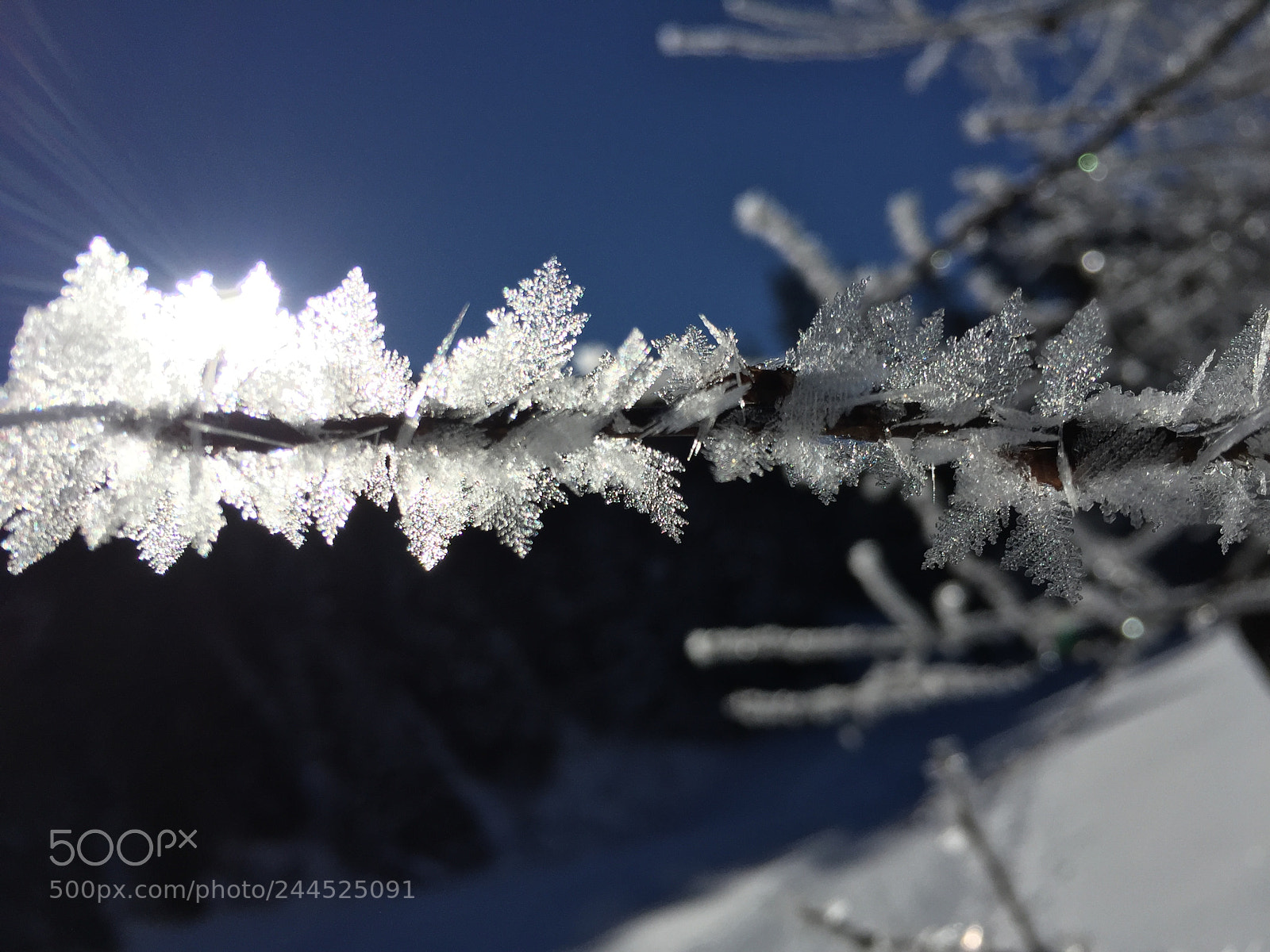 Apple iPhone 6 sample photo. Davos photography