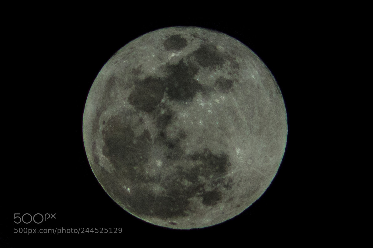 Canon EOS 100D (EOS Rebel SL1 / EOS Kiss X7) sample photo. Moon photography