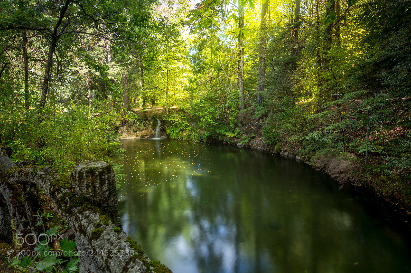 Canon EOS 60D sample photo. Paradise photography