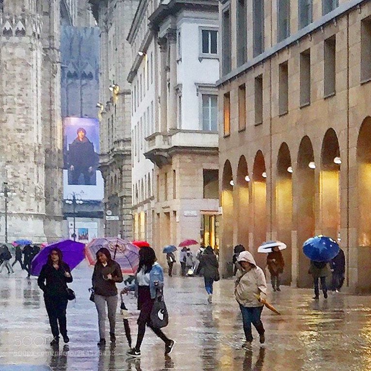 Apple iPhone 6 sample photo. Rainy day photography