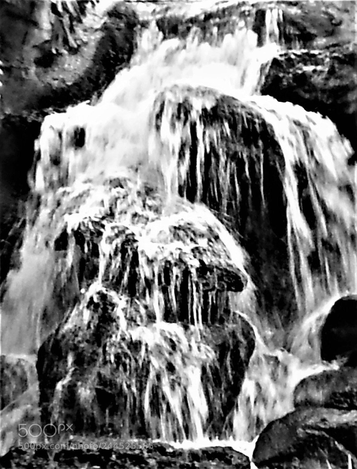 Samsung Galaxy S3 sample photo. Black and white fall photography
