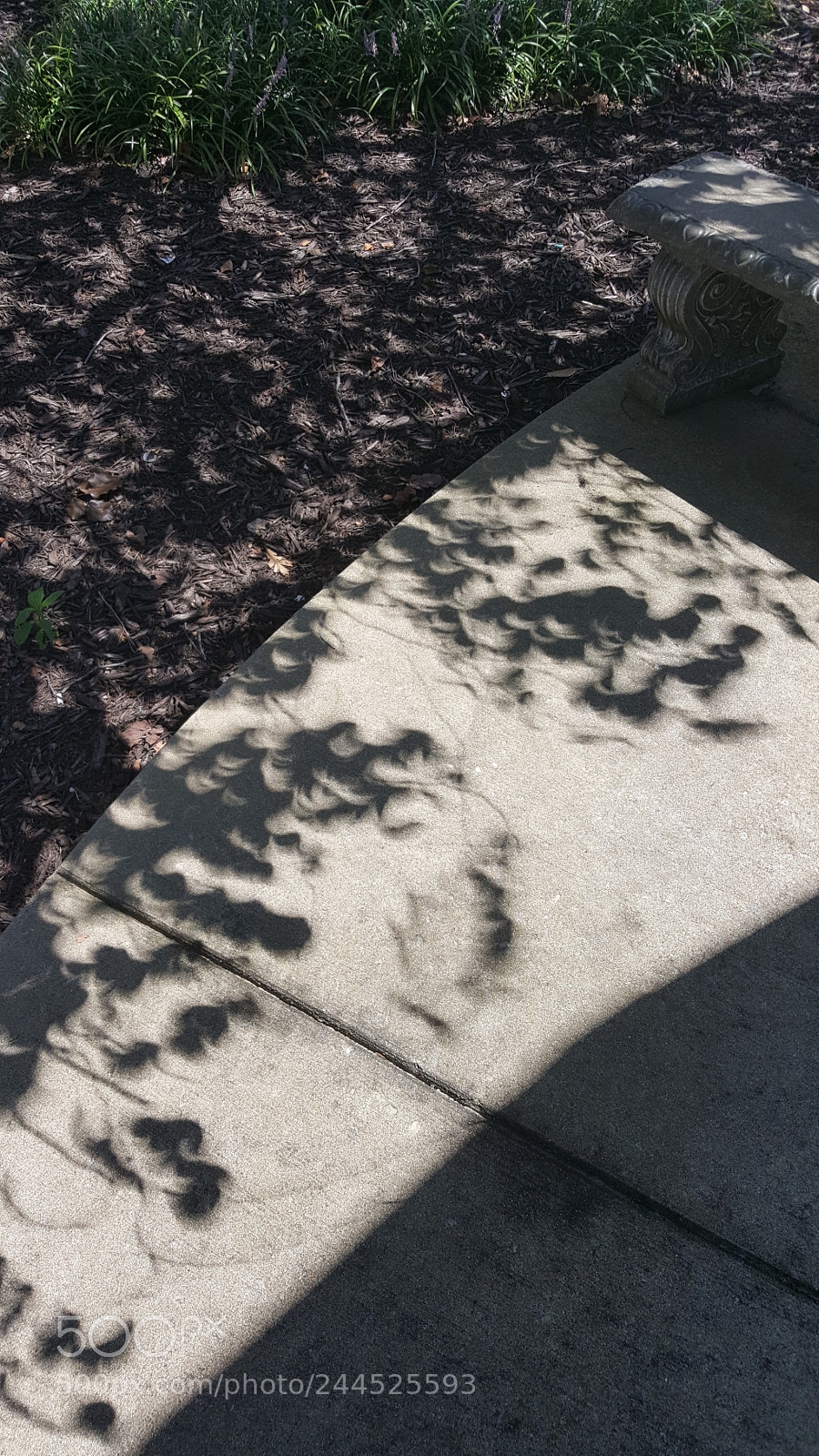 Samsung Galaxy Note5 sample photo. Leave your eclipse photography