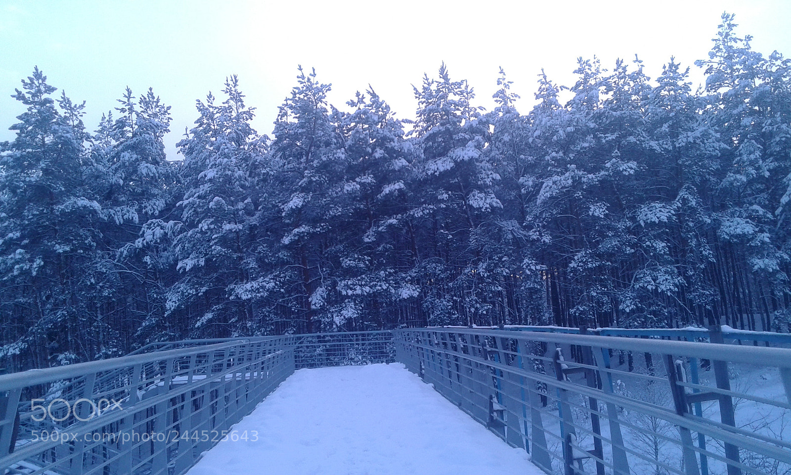 Samsung Galaxy Core Prime sample photo. Untitled photography
