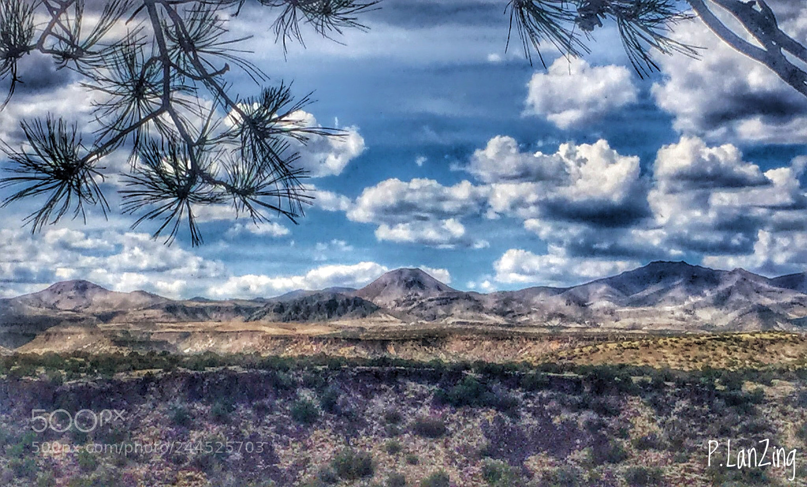 Apple iPhone 6 sample photo. New mexico photography
