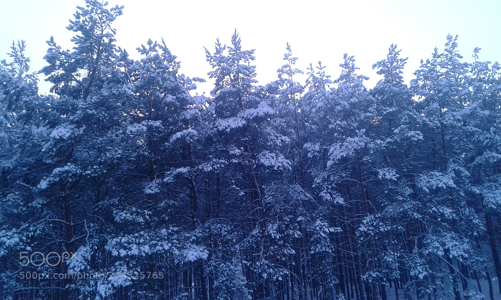 Samsung Galaxy Core Prime sample photo. Untitled photography