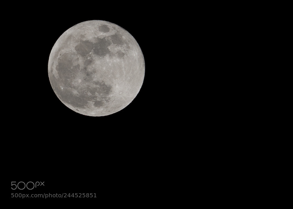 Nikon D800 sample photo. Super moon photography