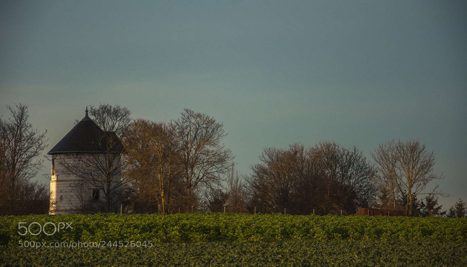 Nikon D90 sample photo. Winter lanscape photography