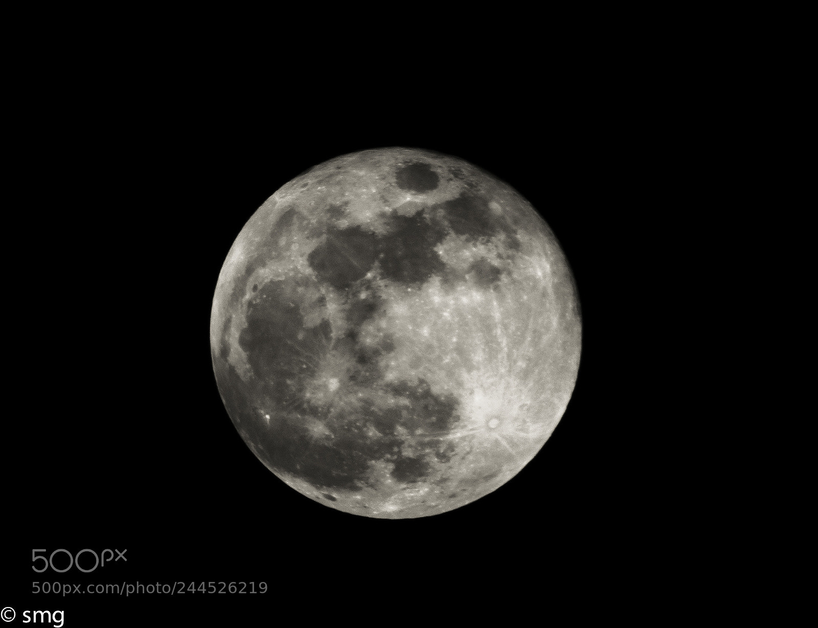 Nikon D800 sample photo. Big moon tonight photography