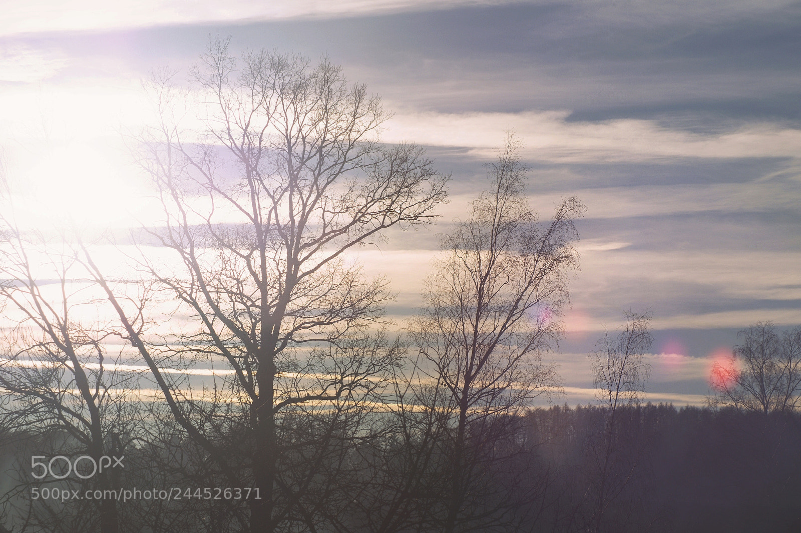 Sony SLT-A58 sample photo. Cold skies photography
