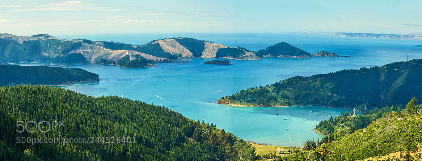 Sony a7R II sample photo. Picton new zealand photography
