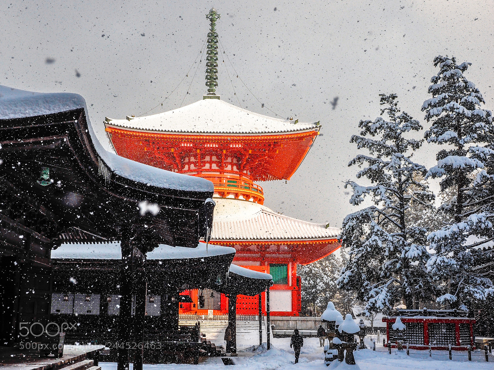 Olympus OM-D E-M1 sample photo. Snowy day photography