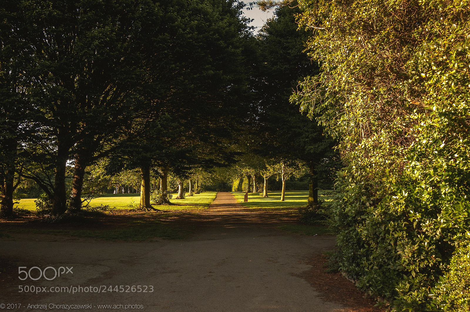 Nikon D90 sample photo. 2027, jamestown park, dublin 11, ireland photography