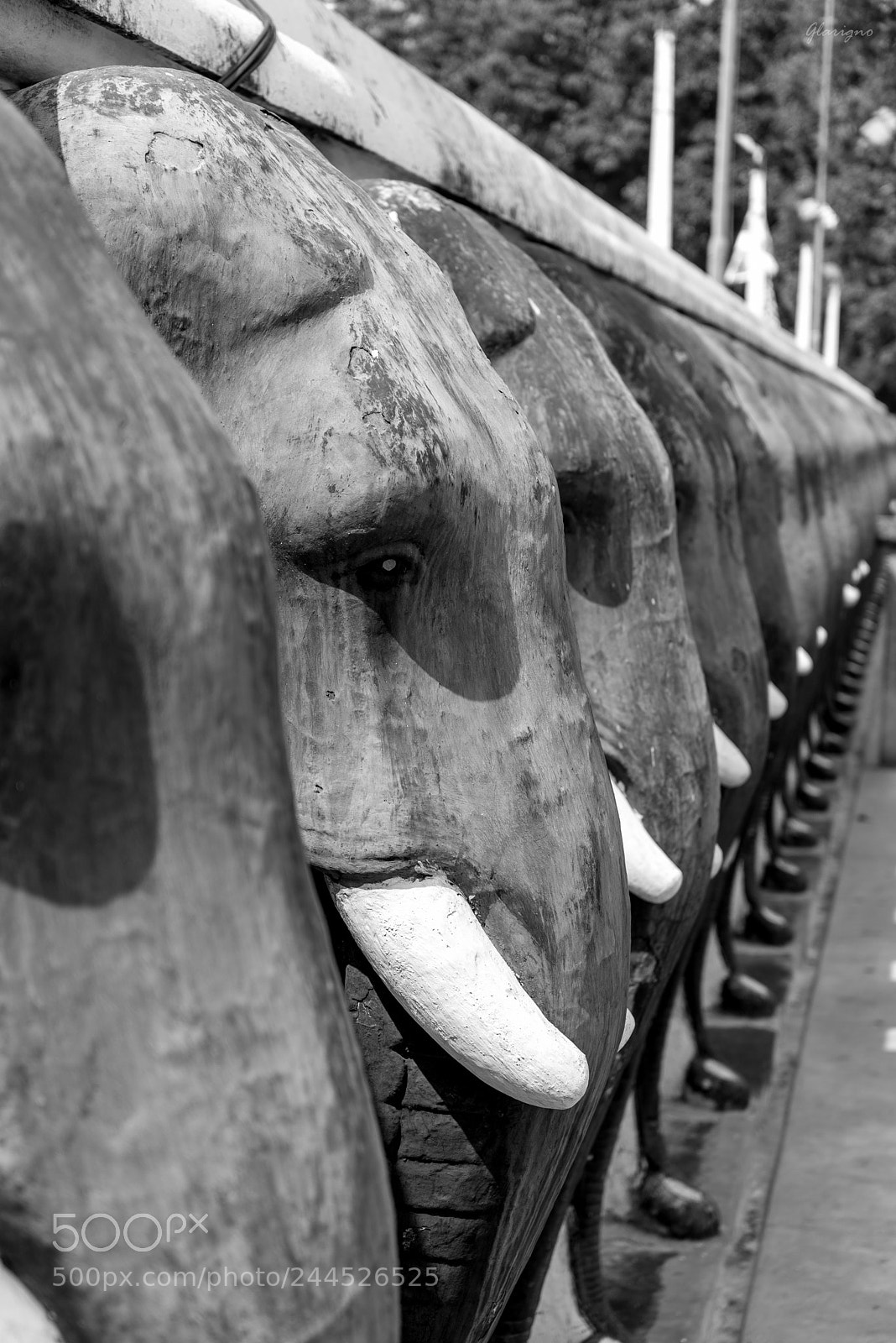 Nikon D610 sample photo. Sri lanka ix photography