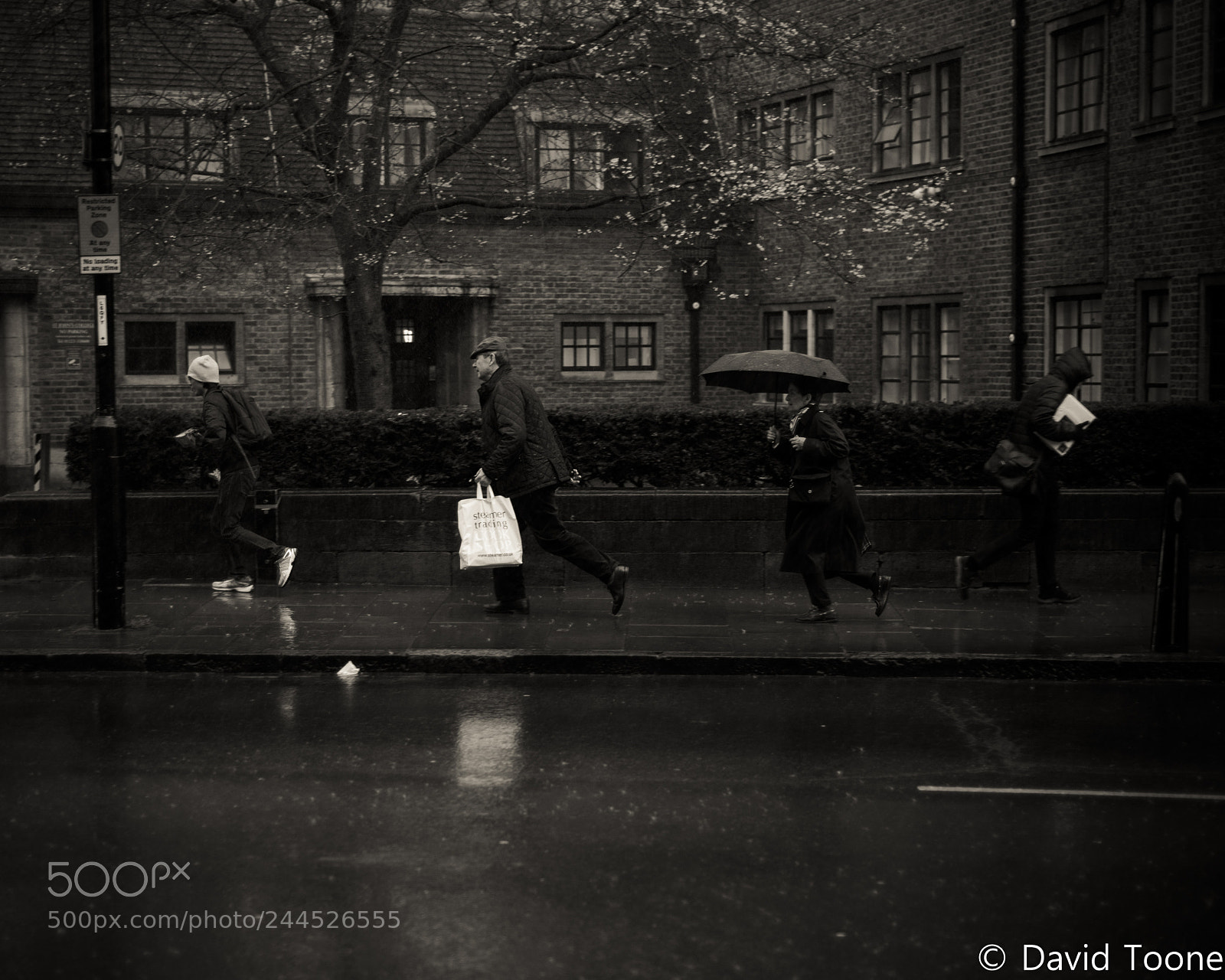 Nikon D800 sample photo. Downpour! photography