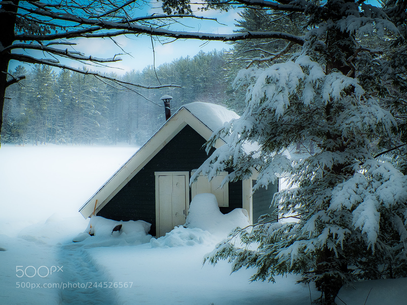 Fujifilm X-S1 sample photo. Cabin in the woods photography