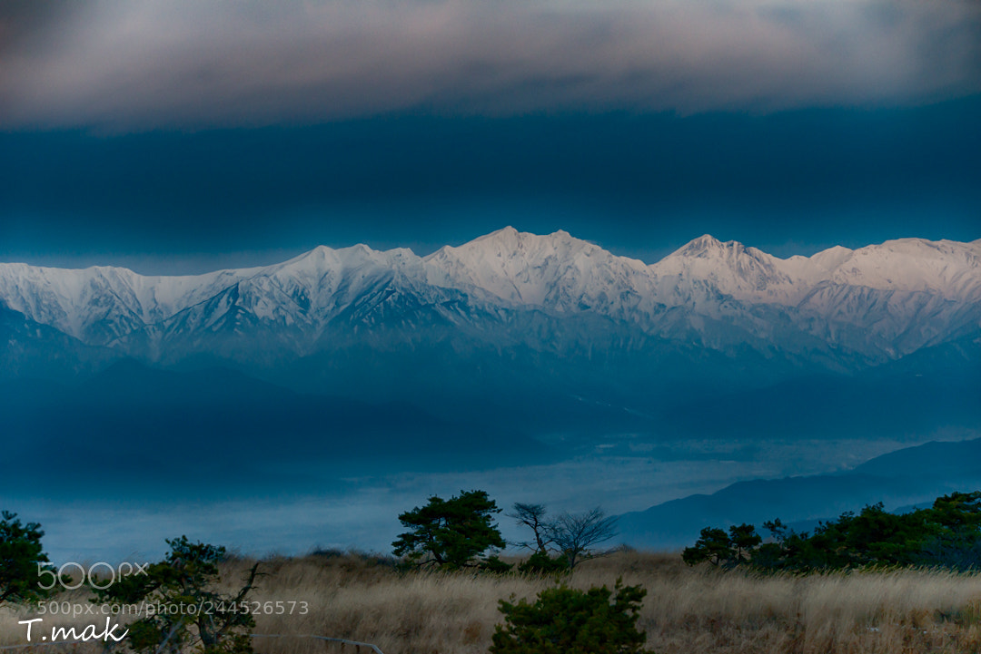Nikon D800E sample photo. Untitled photography