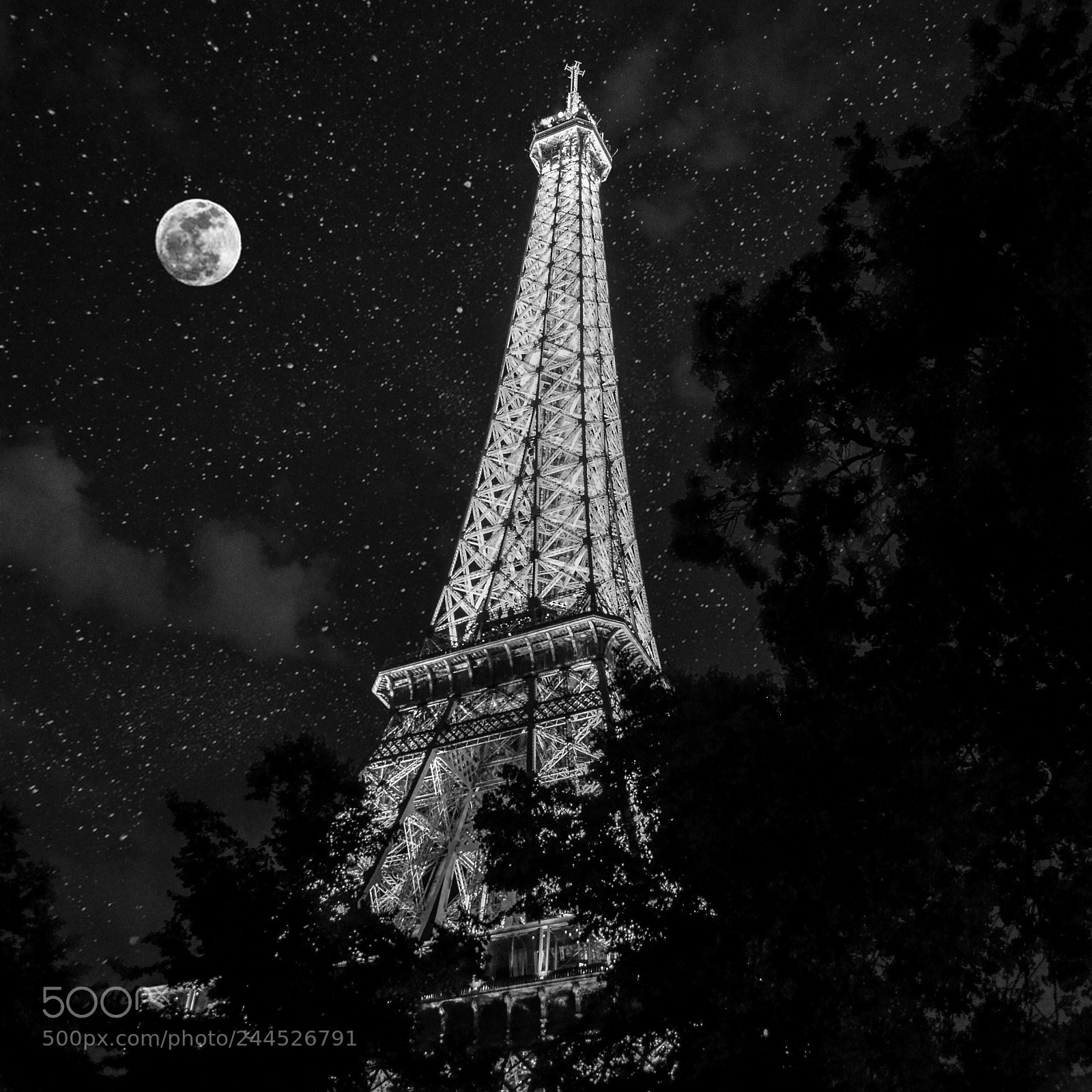 Nikon D5100 sample photo. Eiffel tower and a photography