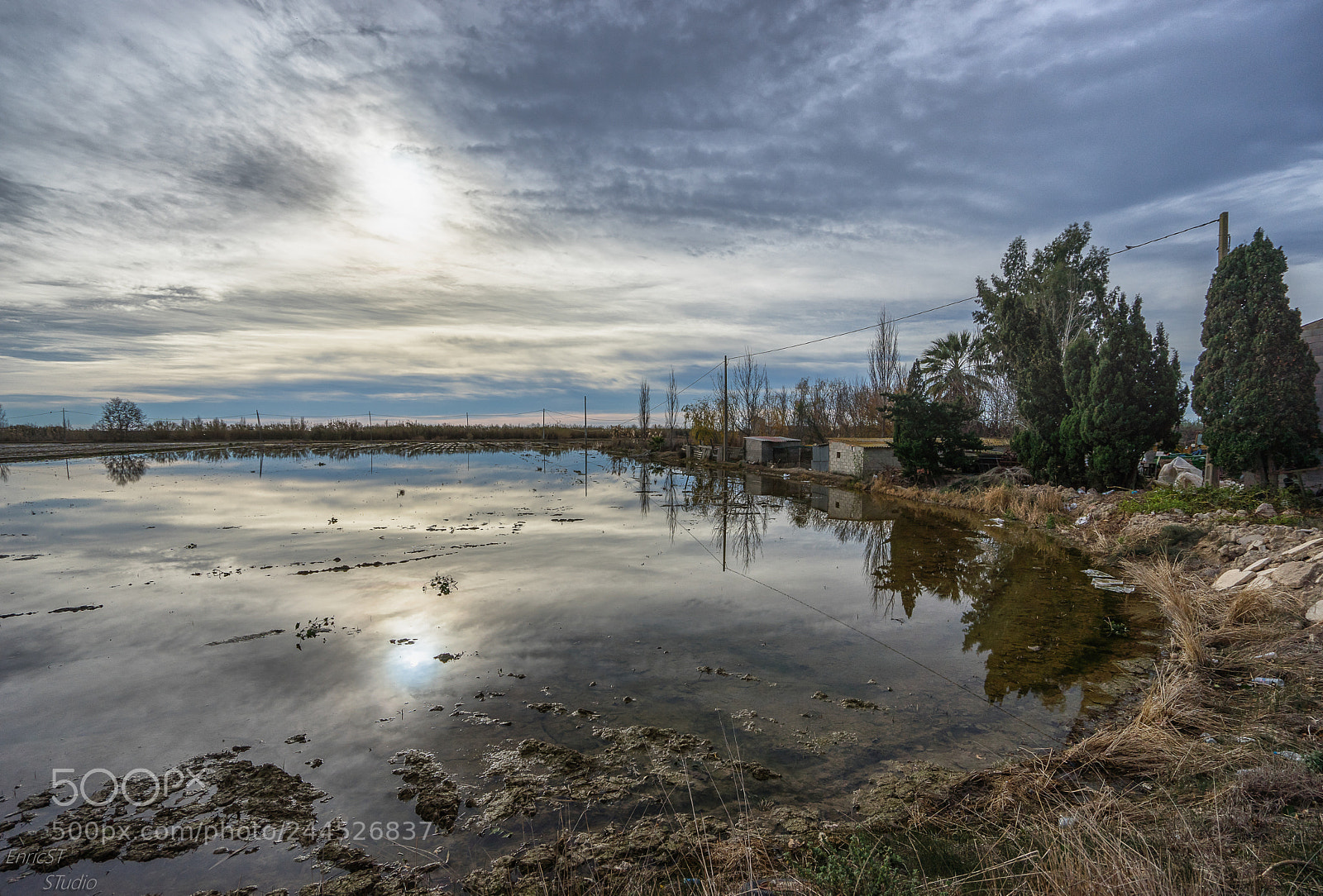Sony a7 II sample photo. Pond photography
