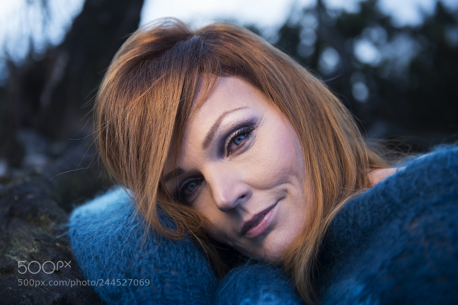 Nikon D810 sample photo. Blue winter iii photography