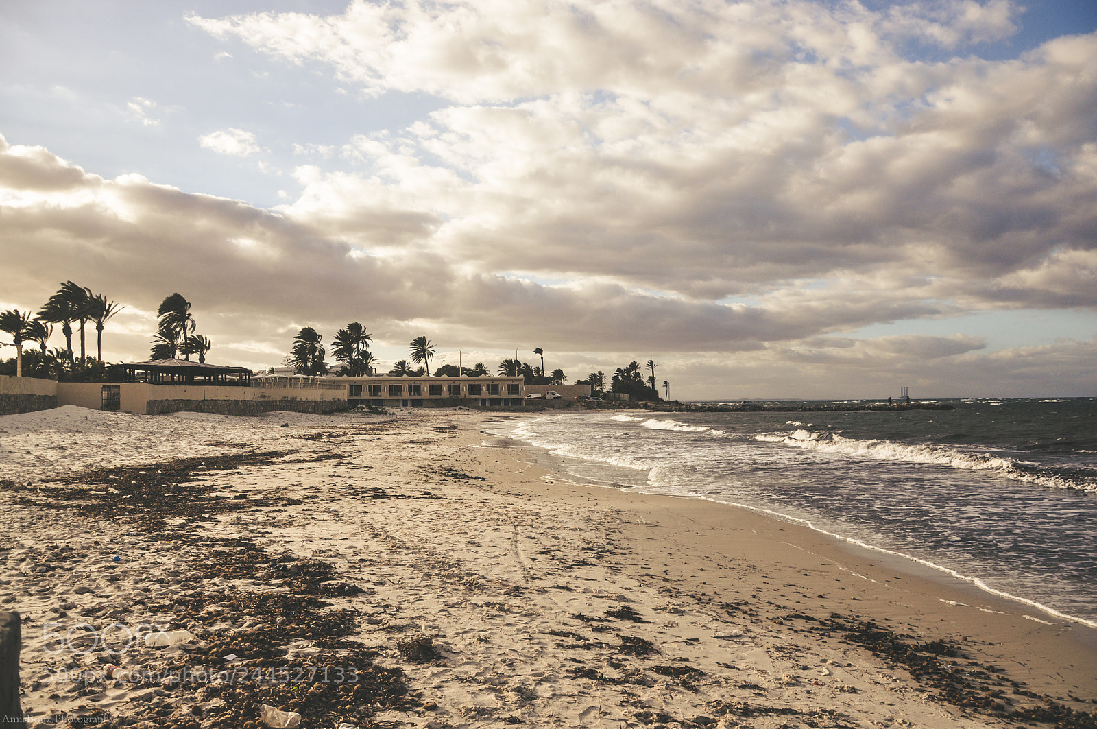 Nikon D90 sample photo. Just another windy day photography