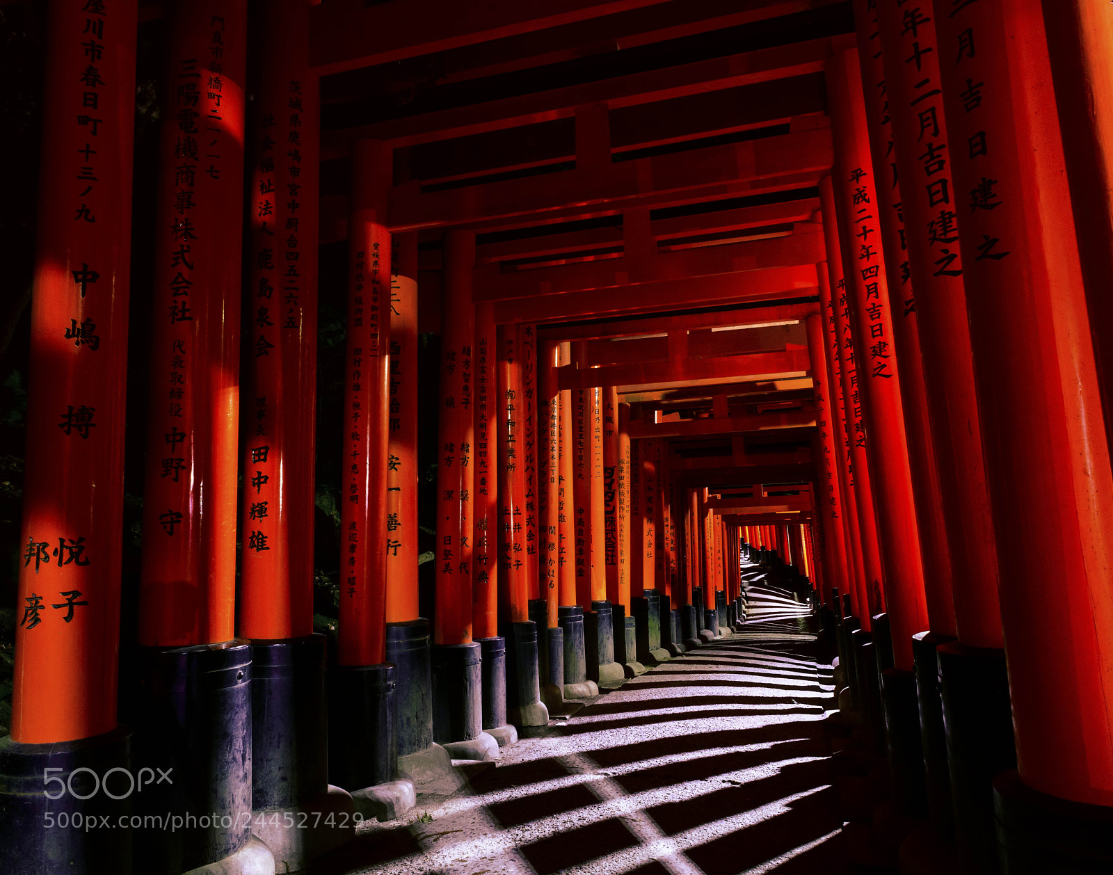 Nikon D850 sample photo. Fushimi inari photography