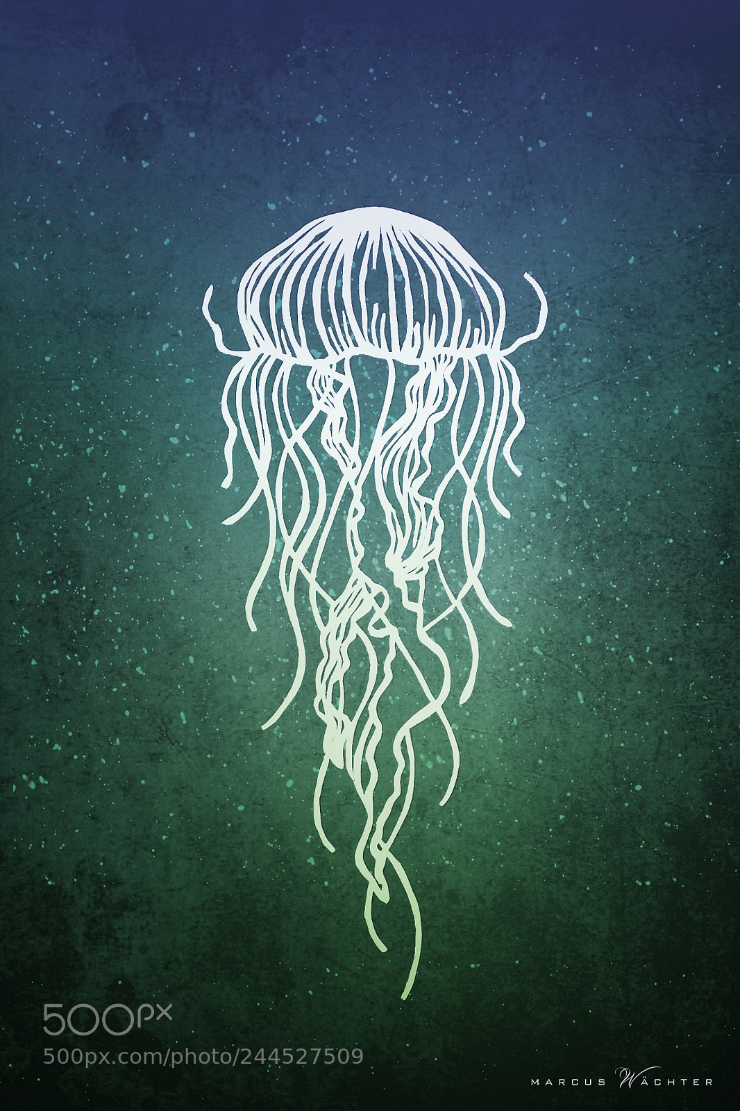 Nikon D3100 sample photo. Papercut - jellyfish photography