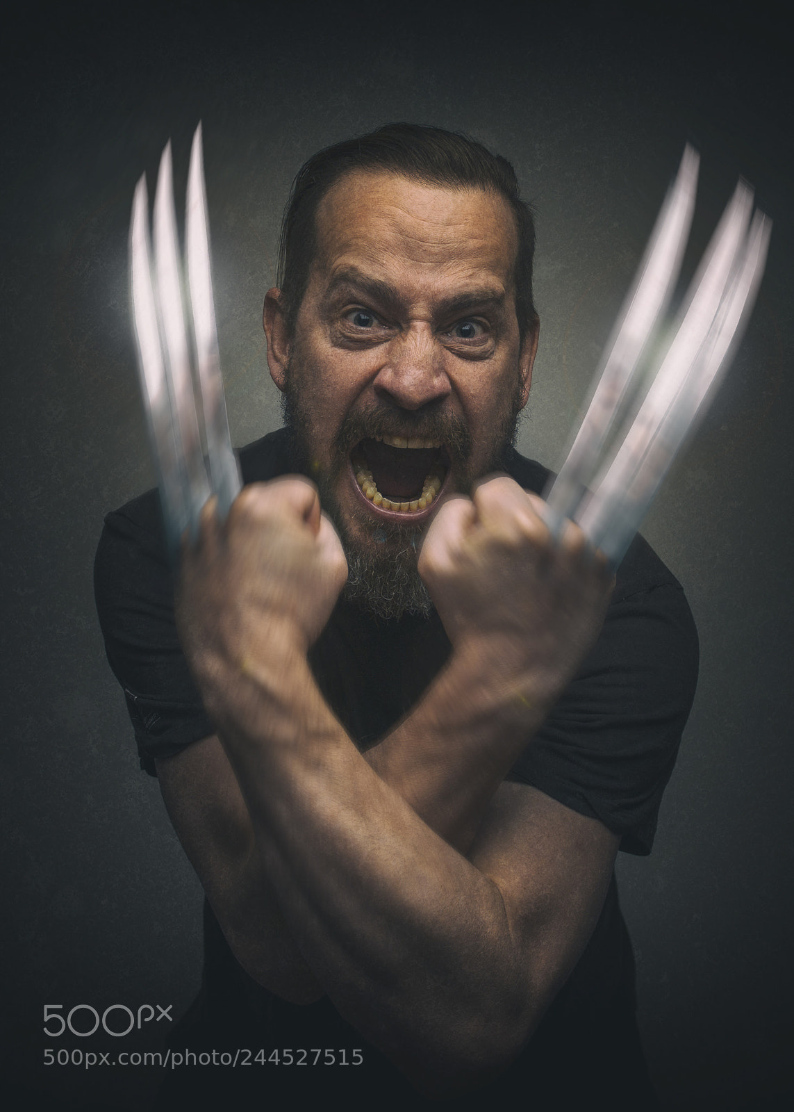 Nikon D800 sample photo. The wolverine clause photography