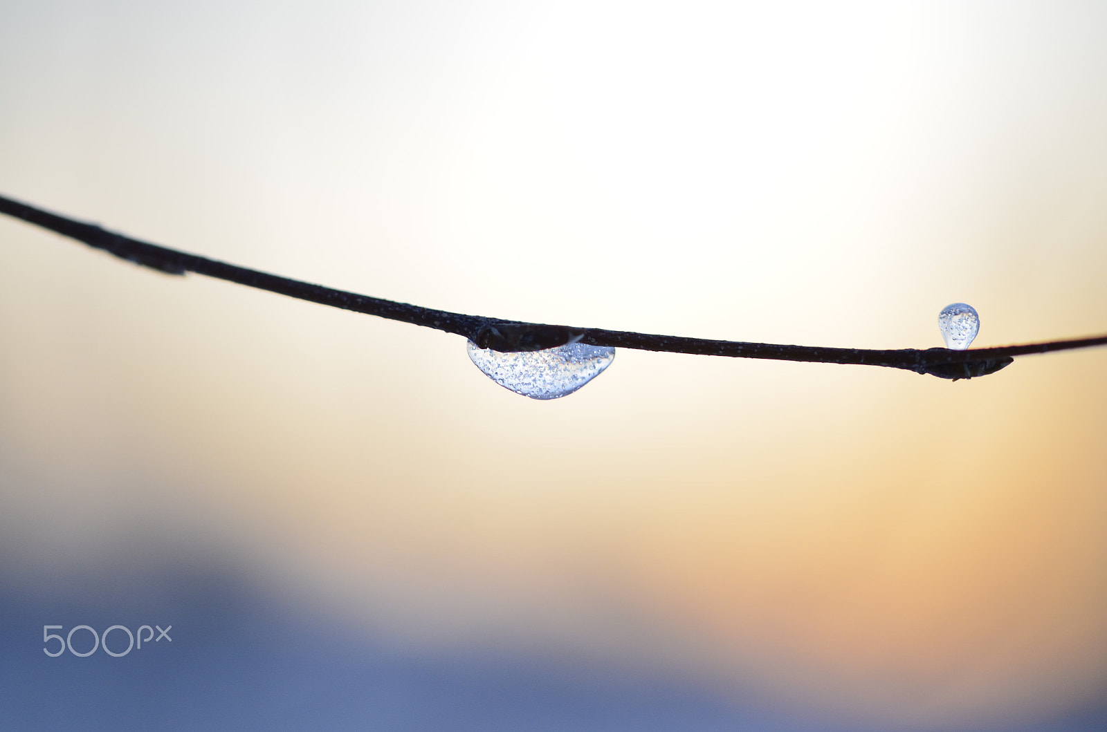 Nikon D5100 sample photo. Frozen photography