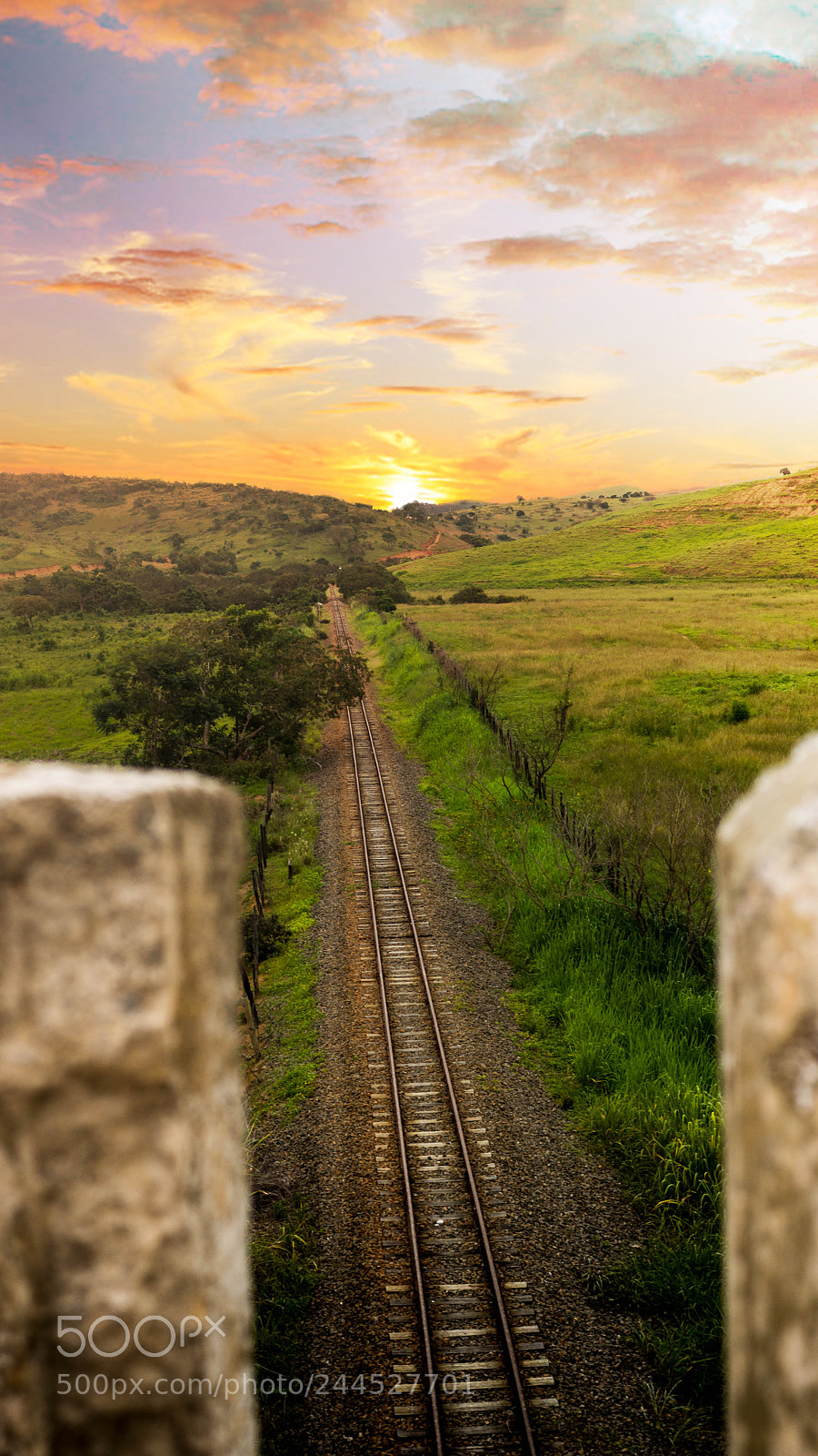 Sony SLT-A77 sample photo. Rail | rffsa photography