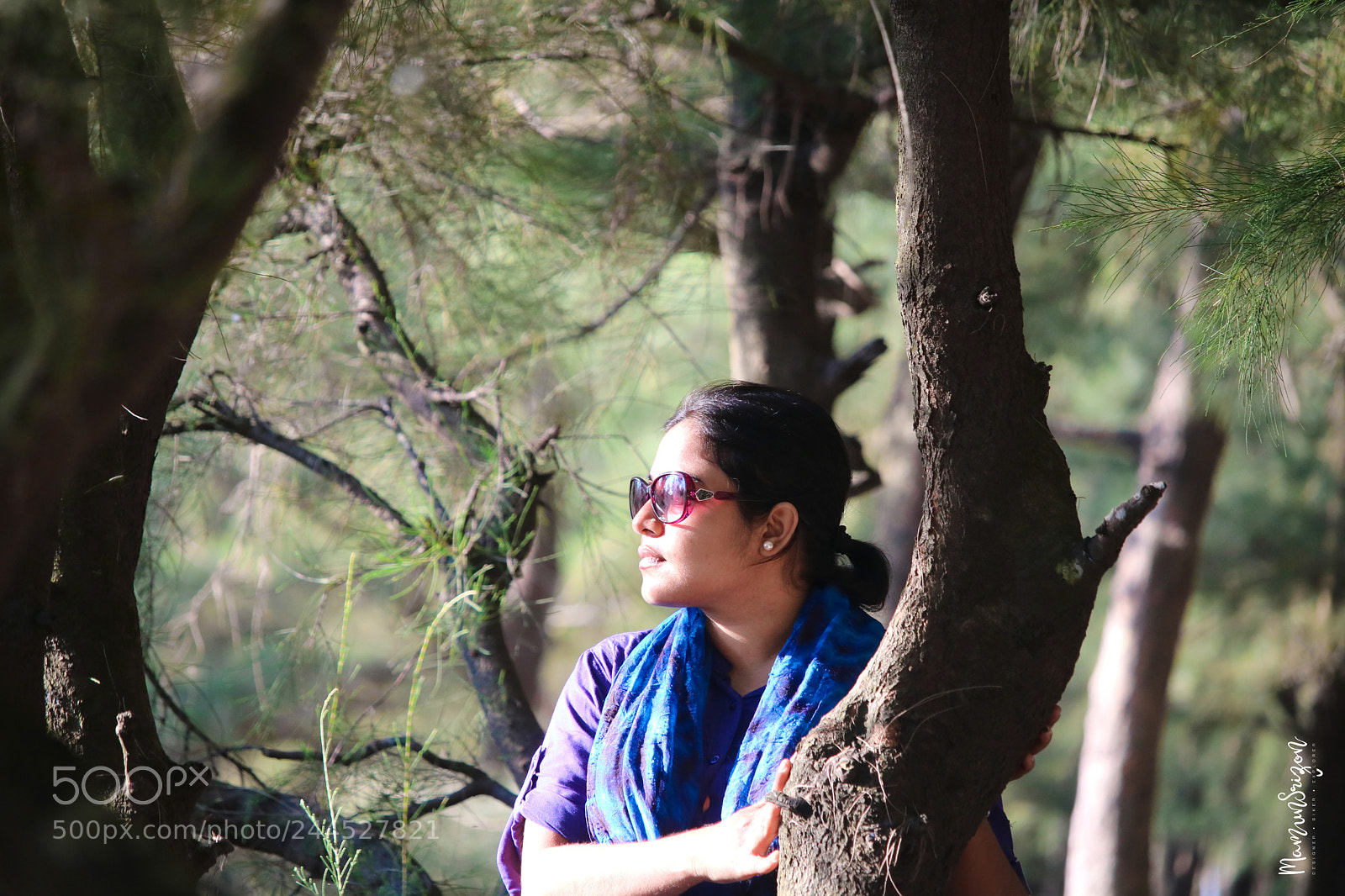 Canon EOS 760D (EOS Rebel T6s / EOS 8000D) sample photo. Untitled photography