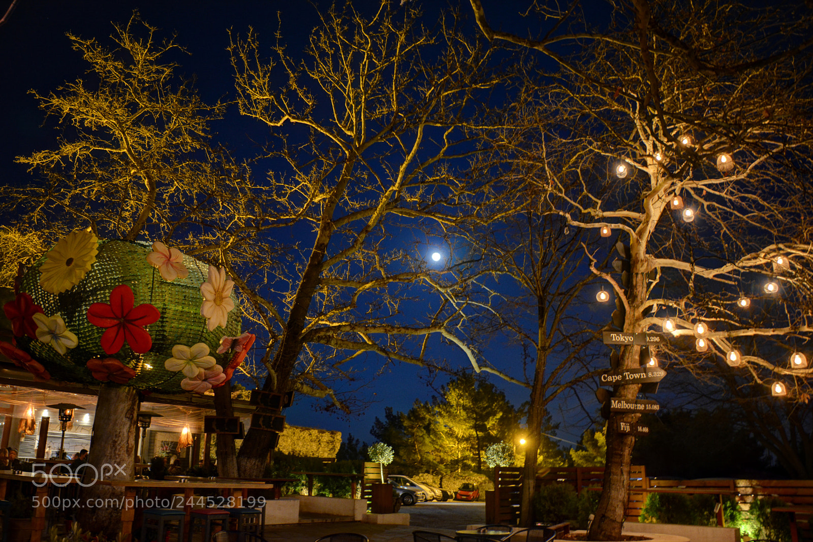 Nikon D7100 sample photo. Full moon photography
