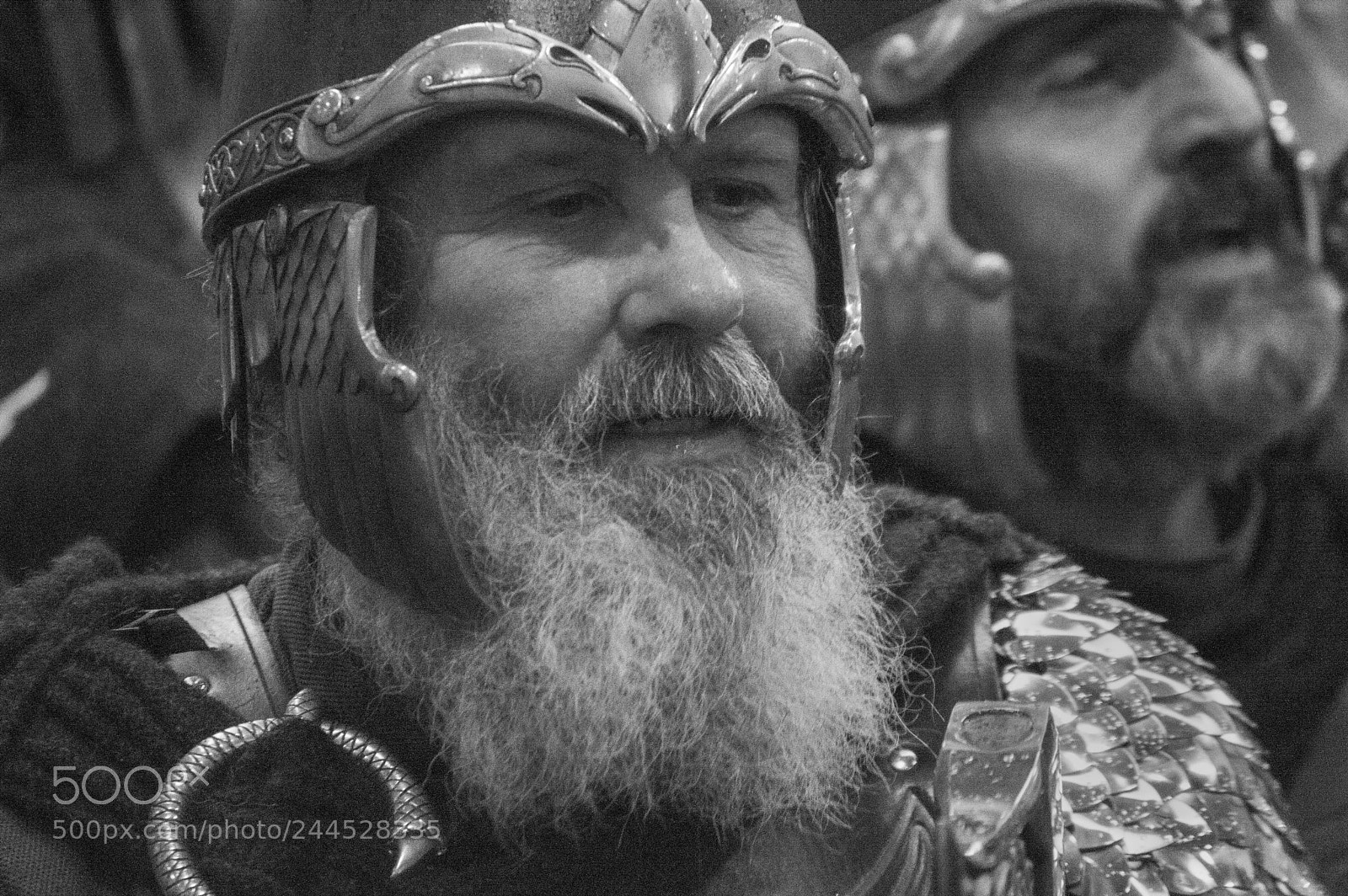 Nikon D3200 sample photo. Viking face (dsc_3520) photography
