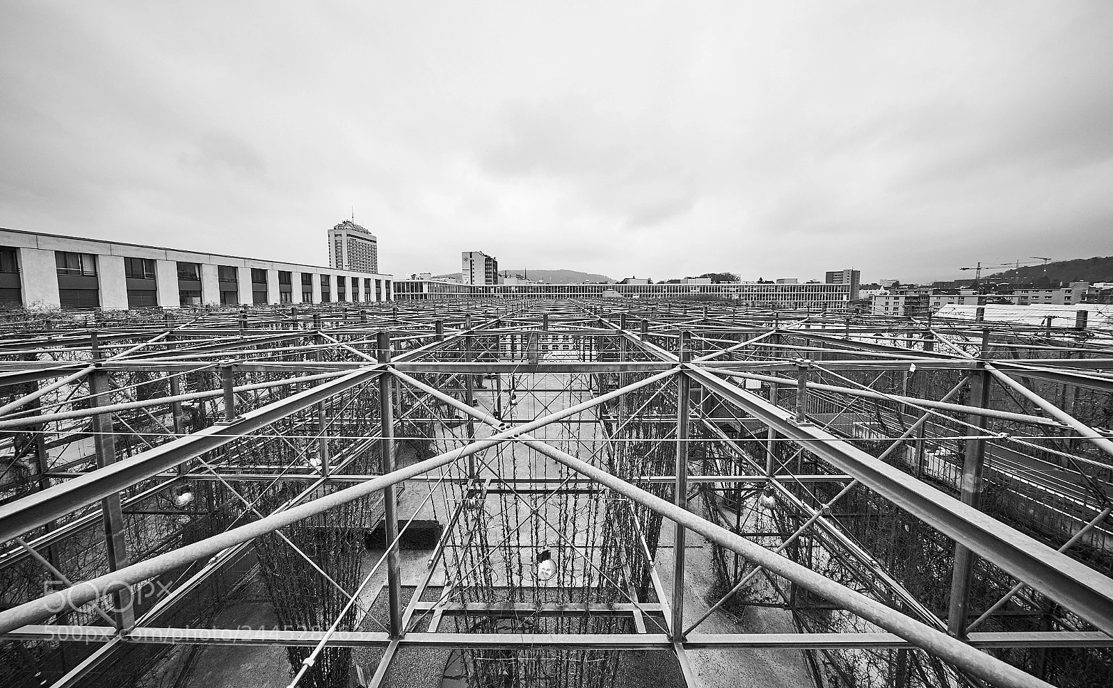 Sony a7R II sample photo. Mfo park z rich photography