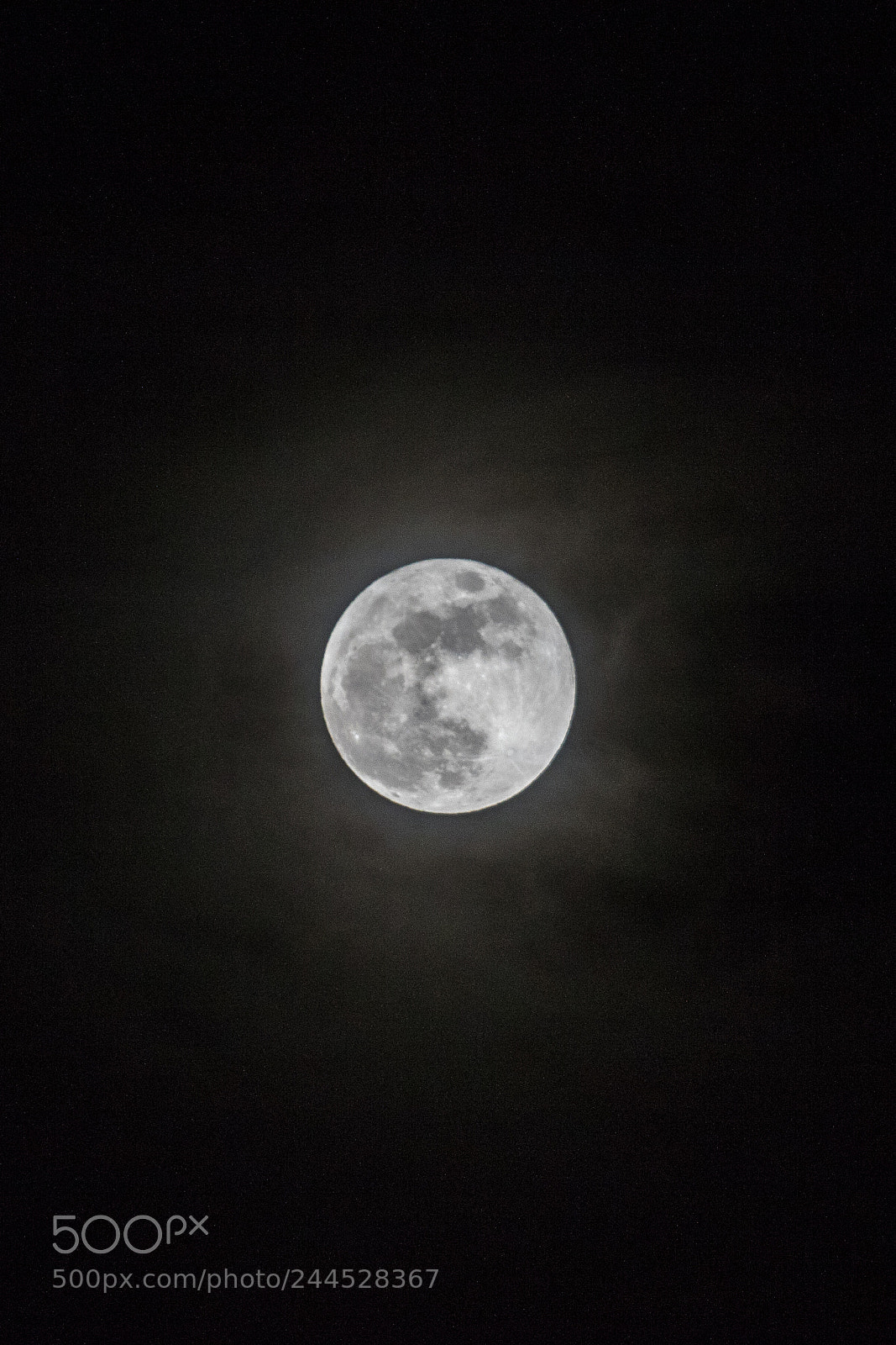 Canon EOS 7D Mark II sample photo. Once in a blue photography