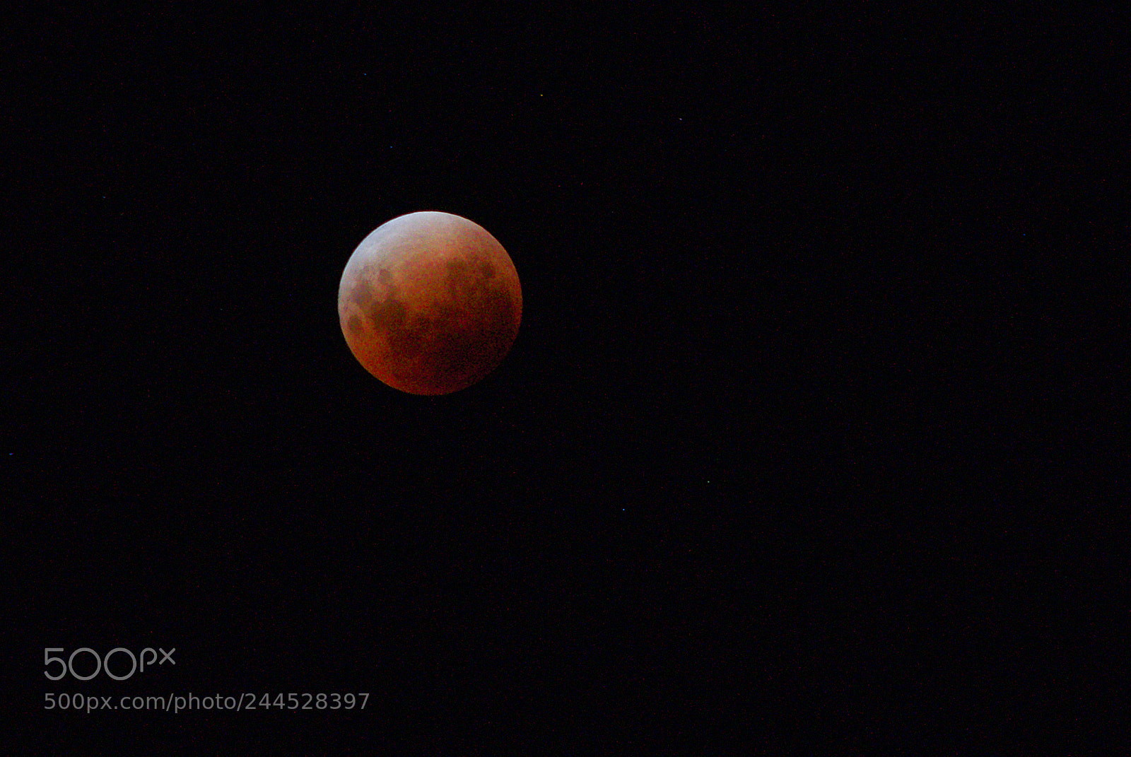 Sony a7 II sample photo. Super blue blood moon photography