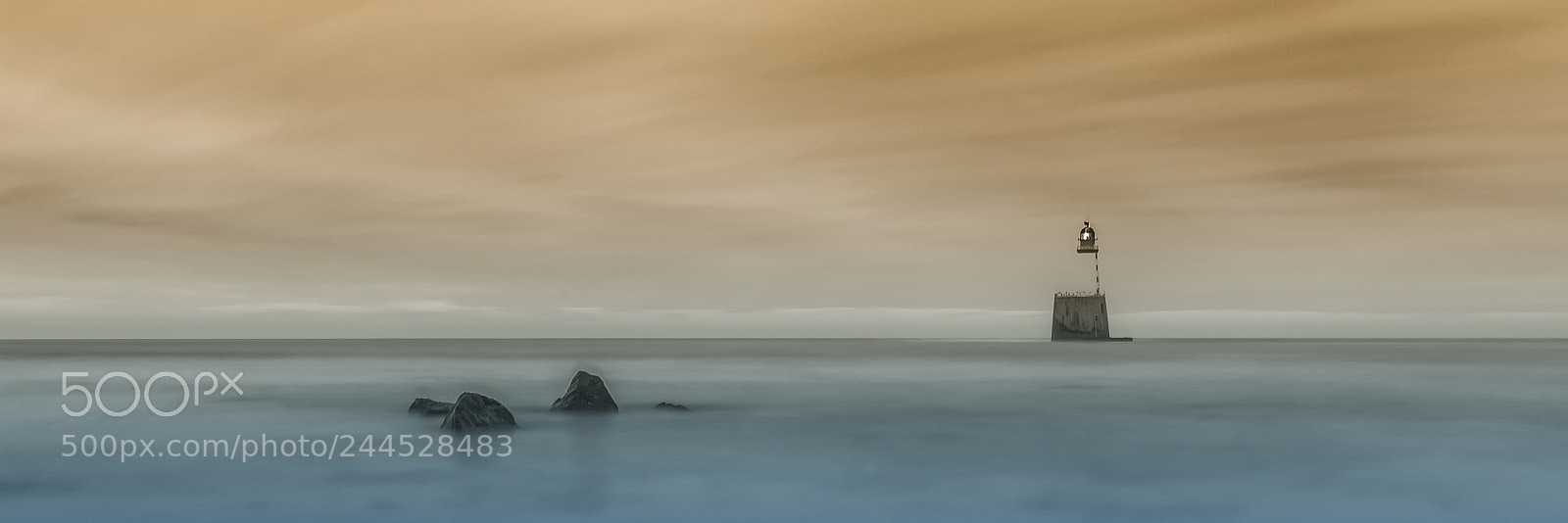 Pentax K-1 sample photo. Isolation photography