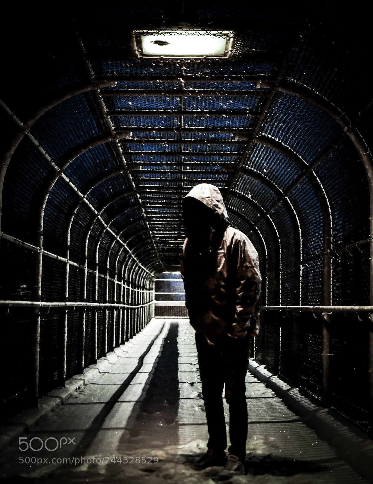 Nikon D3400 sample photo. Into the dark bridge photography
