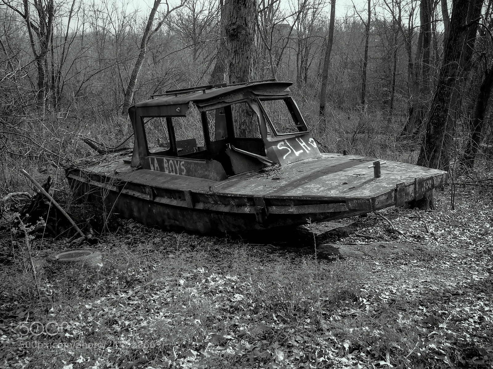 Olympus OM-D E-M5 sample photo. Boat in the woods photography
