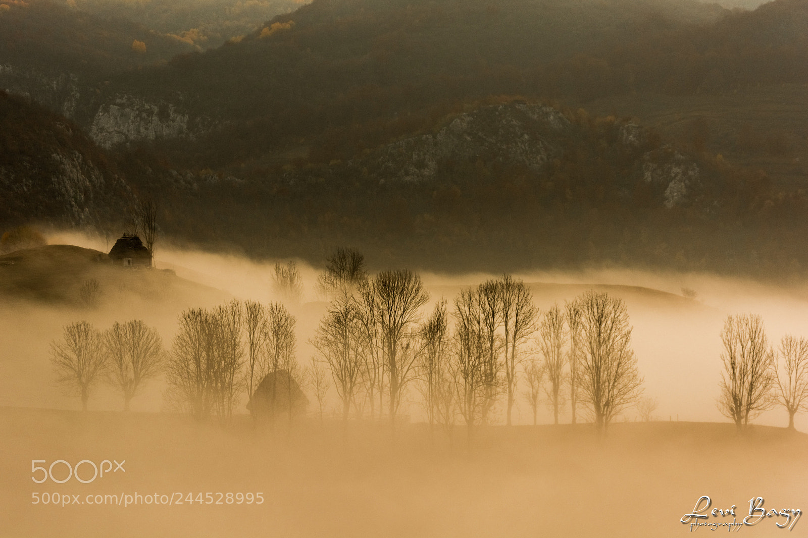 Nikon D7100 sample photo. Foggy morning photography