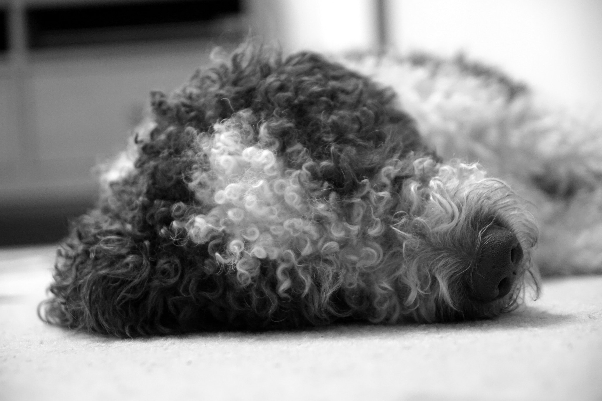 Sony SLT-A68 sample photo. Lazy "into" photography