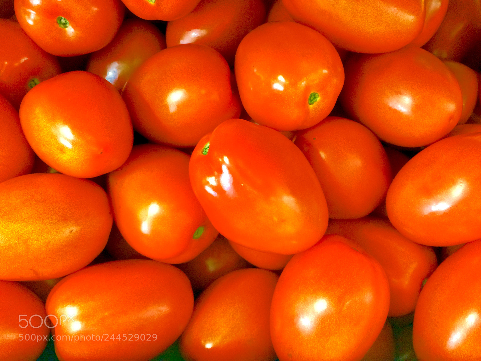 Apple iPhone 5s sample photo. Fresh tomatoes photography