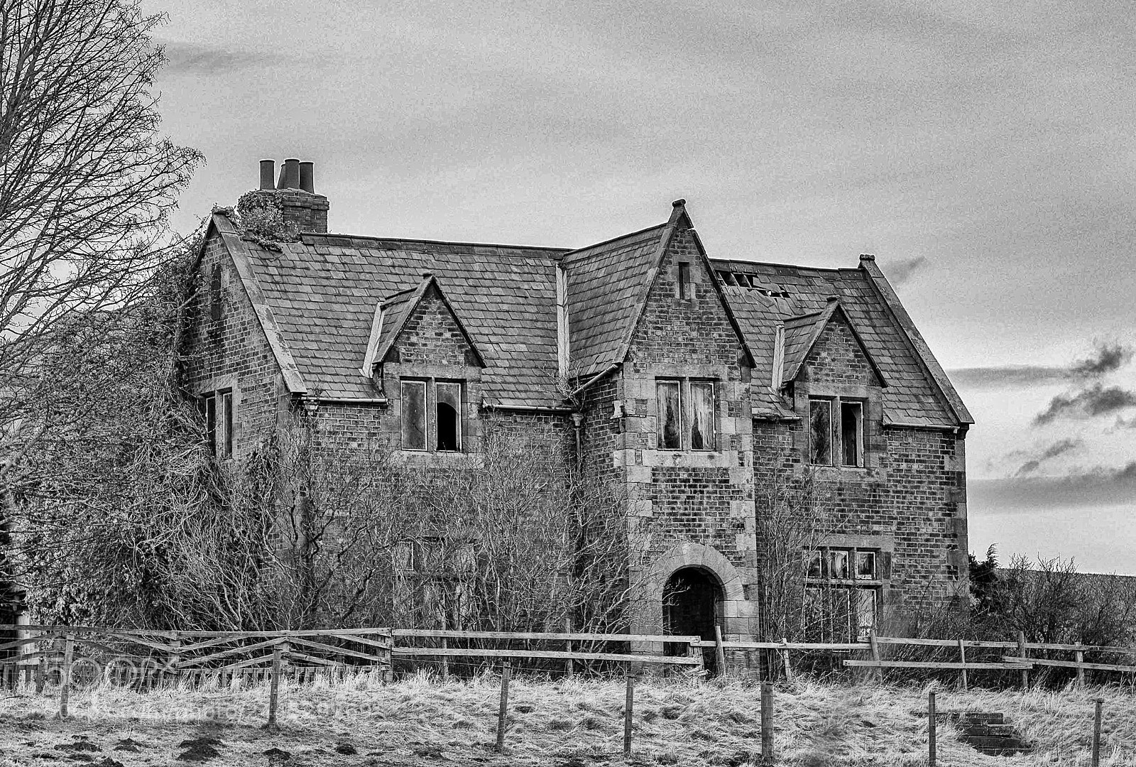 Nikon D800E sample photo. Wheres the double glazing photography